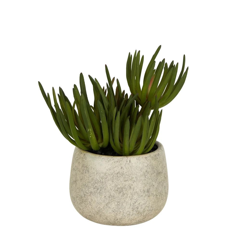 Artificial Flora Potted Succulents in Grey Pot Small 21.5cm