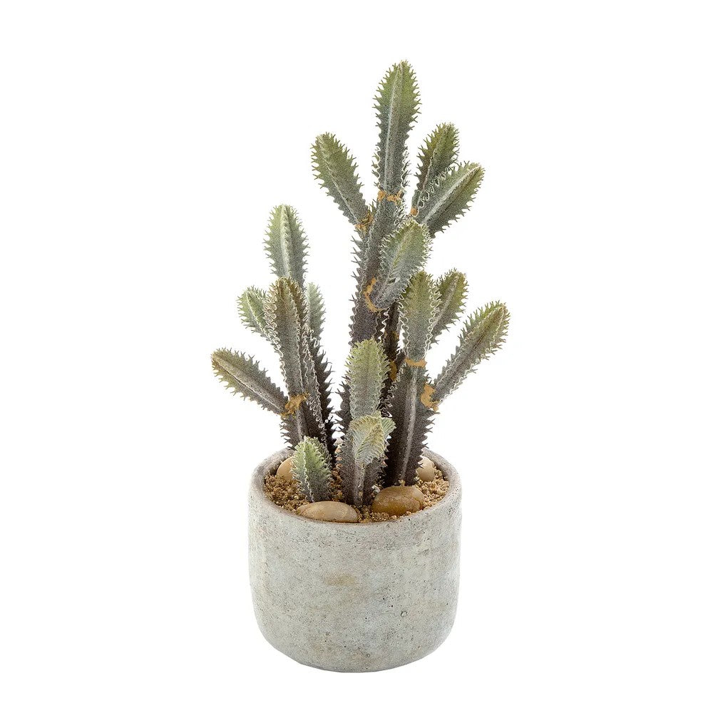 Artificial Flora Potted Desert Cactus Small 32cm