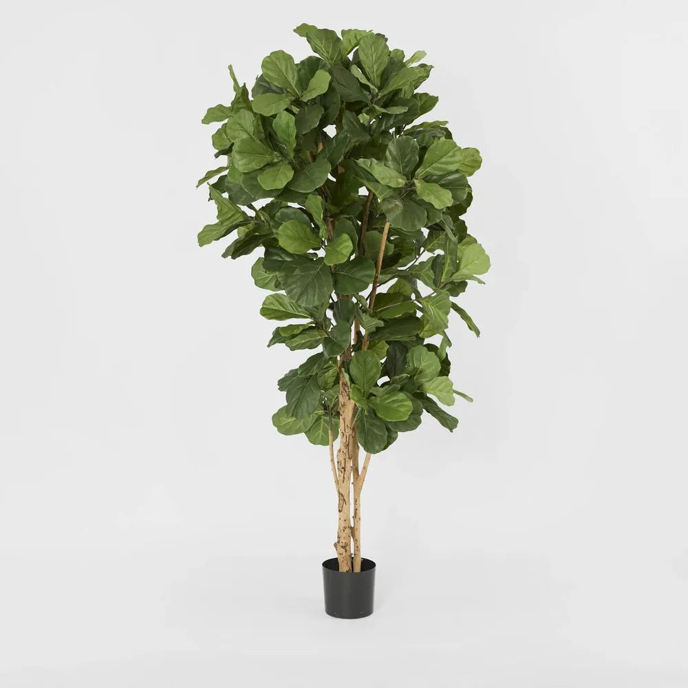 Fiddle Artifical Leaf Tree 2m