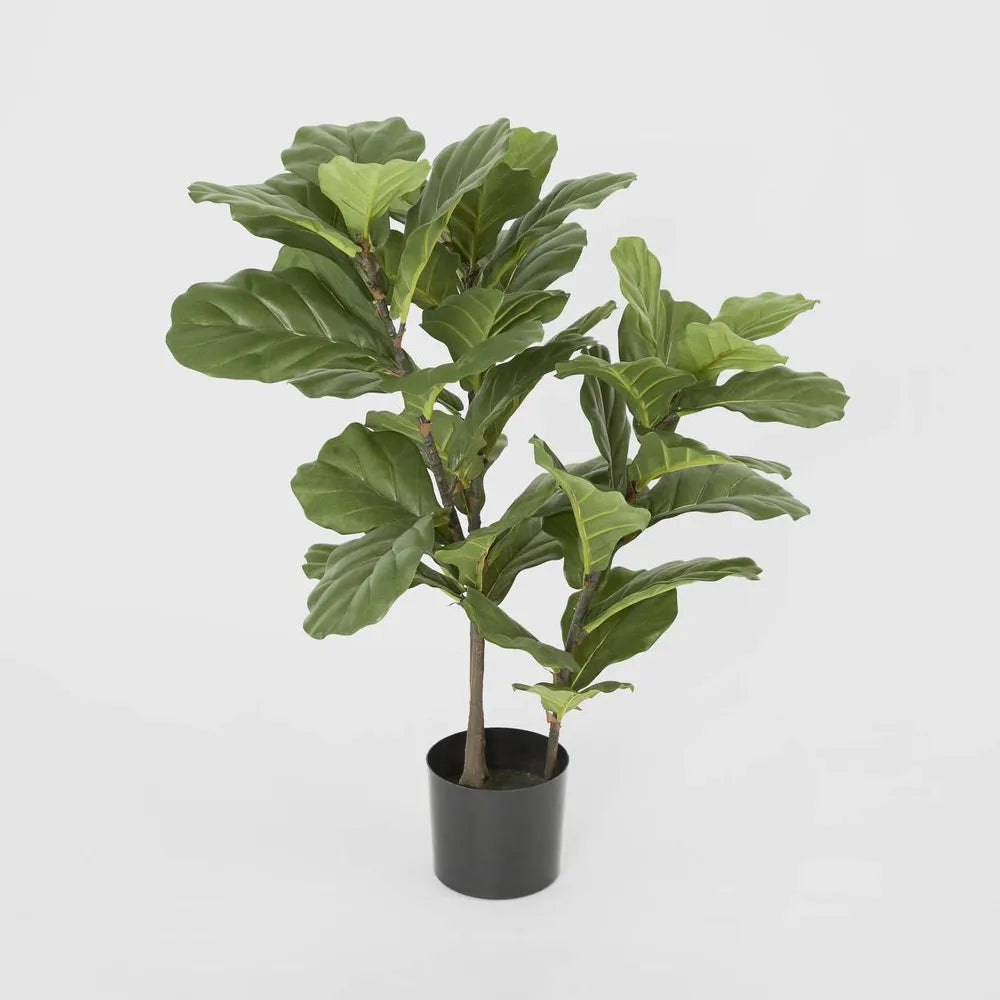 Fiddle Leaf Tree 93cm