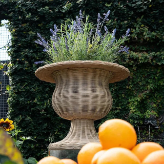 Into The Garden