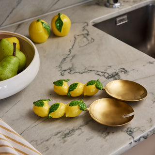 Set/2 Lemons Salad Server Set Stainless Steel