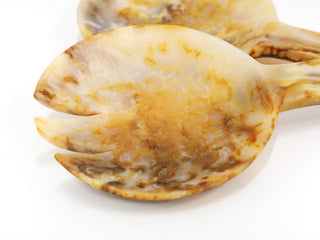 S/2 Dino Resin Salad Servers Tortoise