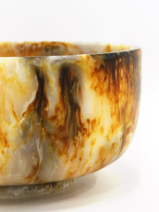 Dino Resin Decor Bowl Tortoise 28X15CM