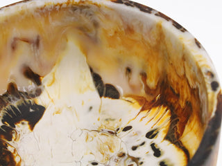 Dino Resin Decor Bowl Tortoise 28X15CM