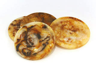 S/4 Dino Resin Coasters Tortoise