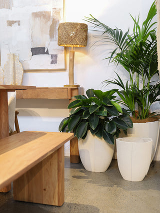 S/3 Tracy MGO Garden Pots Planters Textured Off White