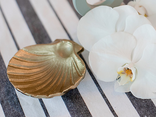 LVD Brass Shell Trinket Home Decorative Key Bowl dish & Jewelry Bowl