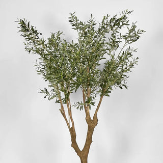 Artifical Olive Tree With 5 Branch Trunk 225cm