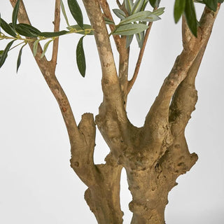 Artifical Olive Tree With 5 Branch Trunk 225cm