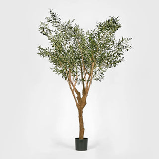 Artifical Olive Tree With 5 Branch Trunk 225cm