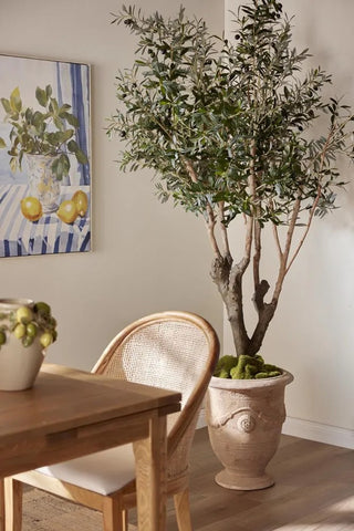 Artifical Olive Tree With 5 Branch Trunk 225cm