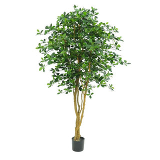 Oriental Artifical Olive Tree 155cm