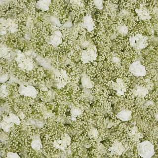 Artificial Flora White Rose Hydrangea & Gyp Floral Wall