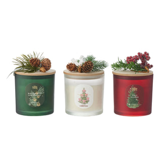 Set of 3 Ivy Christmas Scented Candles