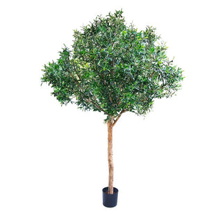 Giant Artifical Olive Tree 2.3m