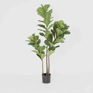 Artificial Fiddle Leaf Tree 1.6m