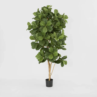 Fiddle Artifical Leaf Tree 2m