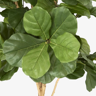 Fiddle Artifical Leaf Tree 2m