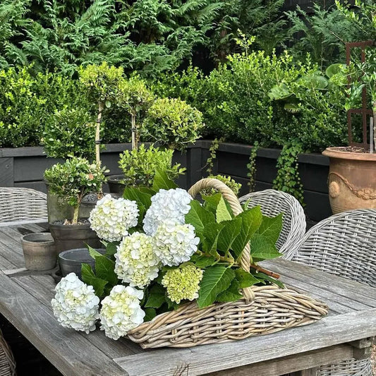 Set of 2 Luna Garden Rattan Baskets