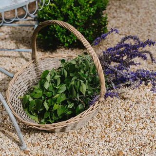 Set of2 Provender Basket