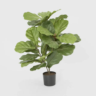 Set of 2 Artifical Fiddle Leaf Fig Potted Plantd 65cm