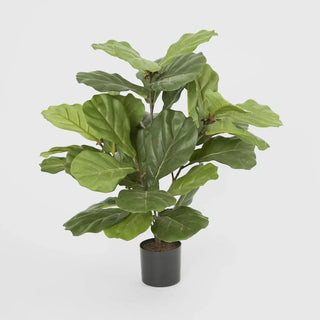Set of 2 Artifical Fiddle Leaf Fig Potted Plantd 65cm