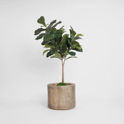 Artifical Fiddle Leaf Tree Real Touch 1.32m
