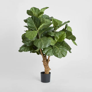 Artifical Fiddle Leaf Tree W/70 Leaves 1.2m