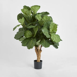 Artifical Fiddle Leaf Tree W/70 Leaves 1.2m