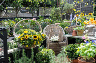 Provender Basket S/2 PRE-ORDER ETA 26/04/2026