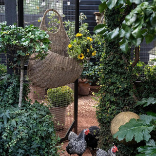 Garden Tear Drop Hanging Basket